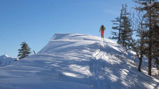 Skibergsteiger am Gipfel