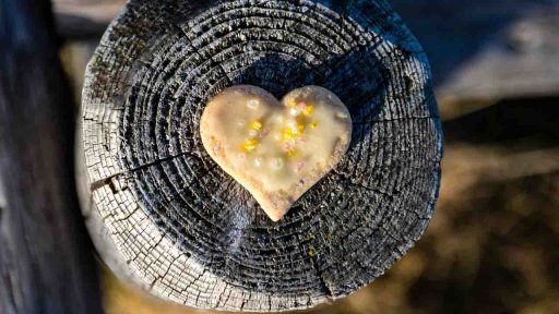 Weihnachtsskitour auf den Teisenberg.