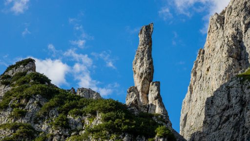 Kletterturm im schönen Licht.