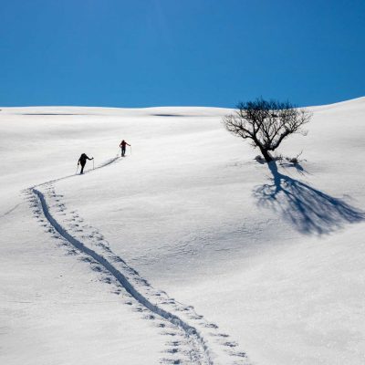 Pulverschnee im Pindos Gebirge.