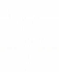 Tmms betreibt einen gut sortierten Online-Shop.